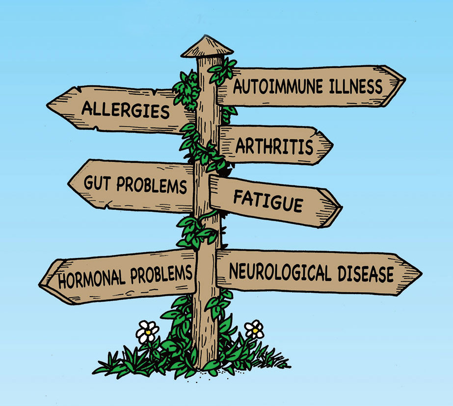 Home Gut And Physiology Syndrome Signpost Logo For Graduate Business Branding JPG